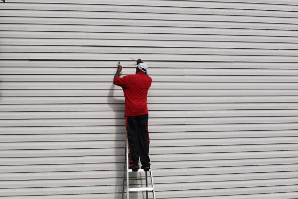 Best Brick Veneer Siding  in Clive, IA