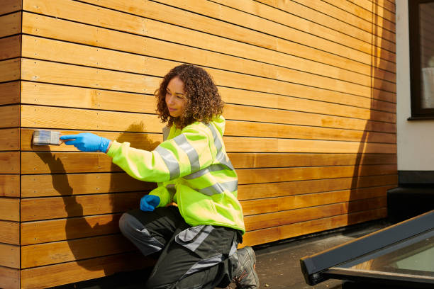 Affordable Siding Repair and Maintenance Services in Clive, IA